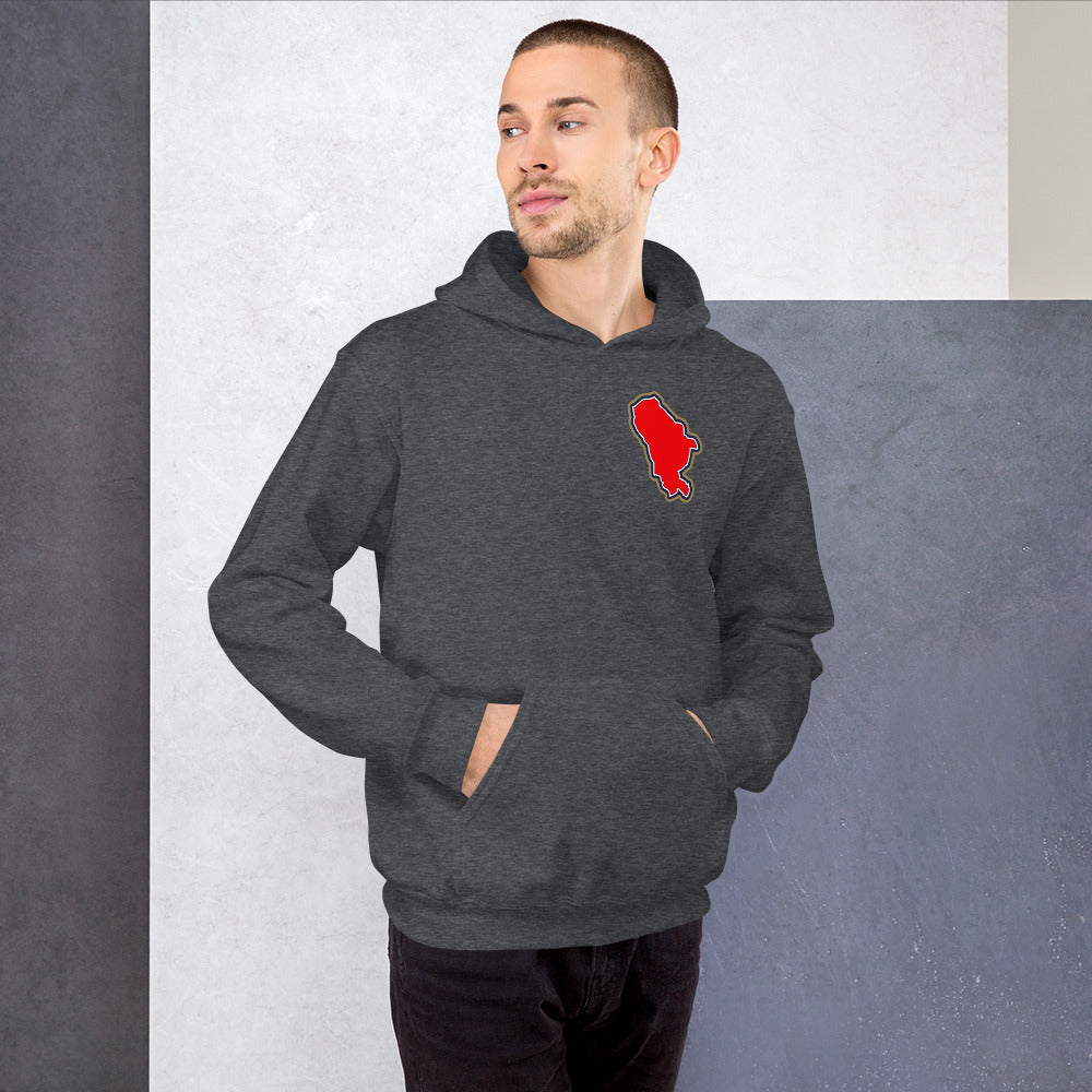 Dark Heather Arsenal hoodie with Area Motif