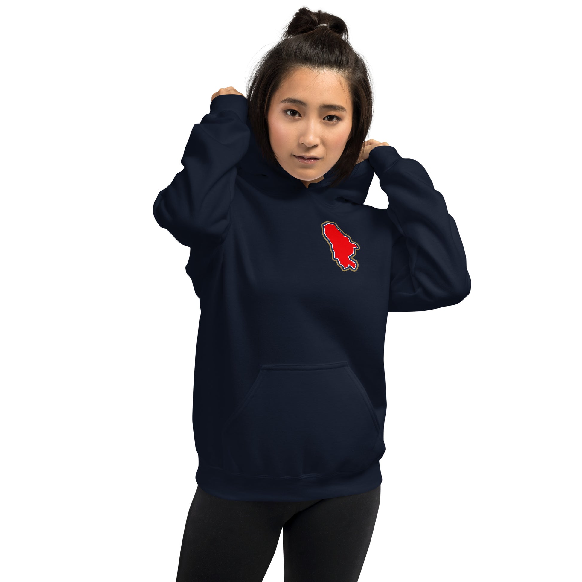 Navy Blue Arsenal hoodie with Area Motif