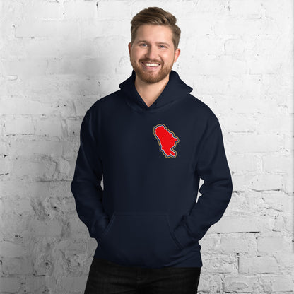 Navy Blue Arsenal hoodie with Area Motif