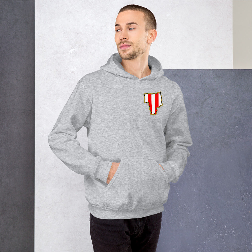 Sport Grey Sunderland Hoodie with Area Motif