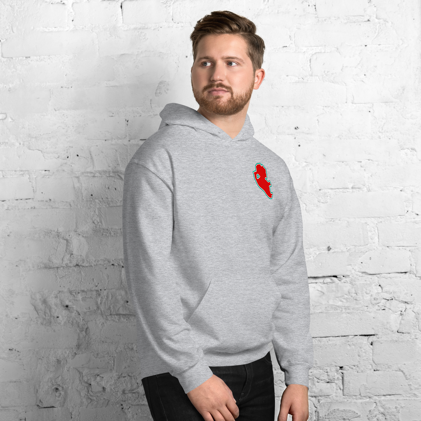 Sport Grey Liverpool Hoodie with Area Motif